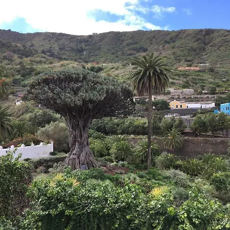 #Ocean View Studio #Wifi Icod De Los Vinos Exterior foto
